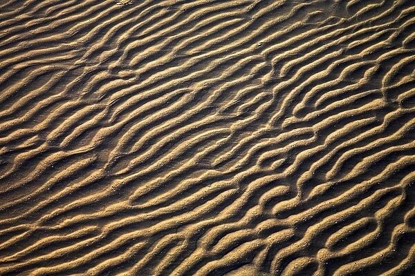 Zanzibar, Tanzania; Sand Patterns