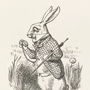 Alice / The White Rabbit