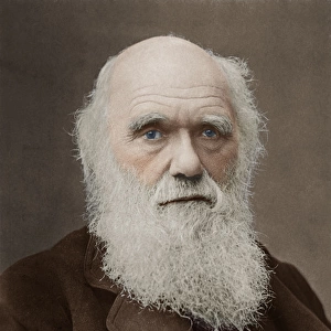 Charles Darwin - English Naturalist