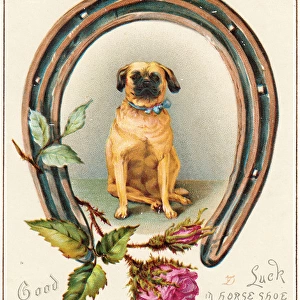 Dog with horseshoe and rose on a Good Luck card