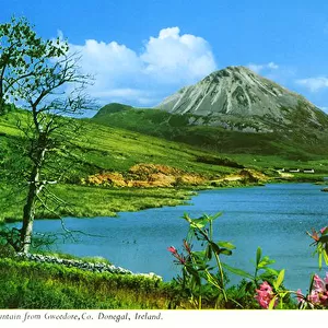 Errigal Mountain From Gweedore, County Donegal