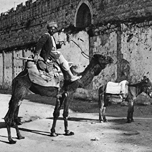 Fellah with camel and donkey, Jerusalem