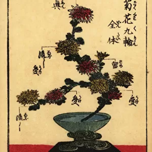 Guide to the vocabulary of Japanese flower arranging