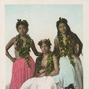 Hawaiian Hula Dancers