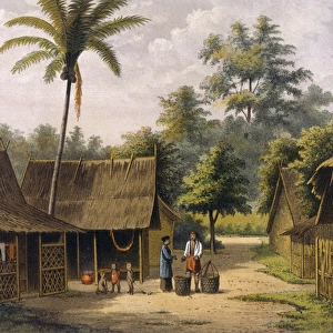 Java / Kampong 1883