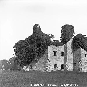 Killencarrick Castle Nr. Greystones