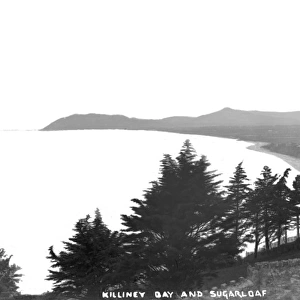 Killiney Bay and Sugarloaf