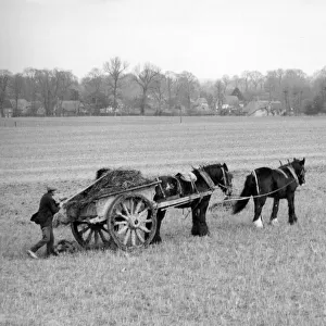 The manure cart on a farm in Berkshire, England. Date: March 1939