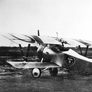 Nieuport 23 of French ace Charles Nungesser