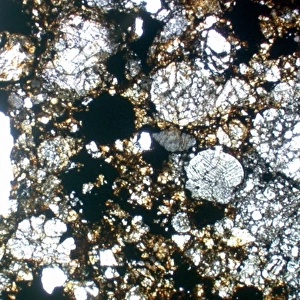 Optical microscope image of the Parnallee (Type 3) chondrite