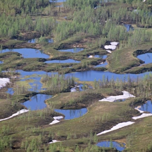RUSSIA - semi-tundra. Lakes and melting snow, aerial