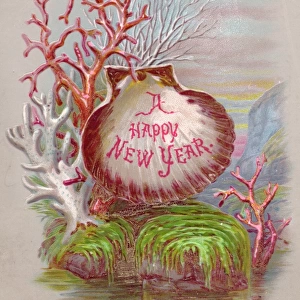 Shell and coral on a New Year card
