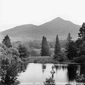 Sugarloaf Mountain. from Powerscourt, Co. Wicklow