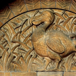 Detail of terracotta moulding of a dodo in the Waterhouse Bu
