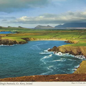 View from Clogher Head, Dingle Peninsula, Co Kerry