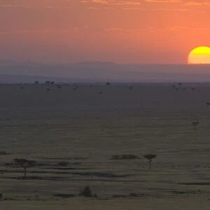 Sunset over plains along border of Tanzania - Masai Mara Triangle - Kenya
