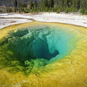 USA - Morning glory pool, Upper Geyser basin. Yellowstone national park, Wyoming, USA