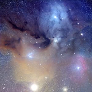 Antares / Rho Ophiuchi region