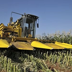 Corn picker in a field C015 / 4179