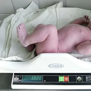 Newborn baby being weighed