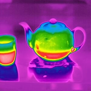 Teapot and mug, thermogram