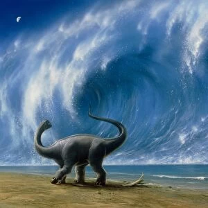 Titanosaurus watching an approaching tsunami