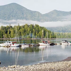 Boats moored at Tofino, Pacific Rim National Park Reserve, Vancouver Island