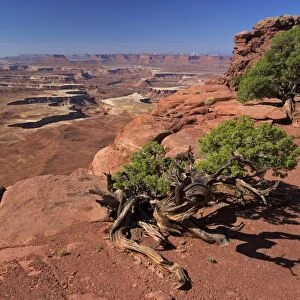 Green River Overlook, Canyonlands National Park, Utah, United States of America, North America