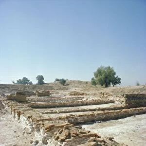 Harappa site