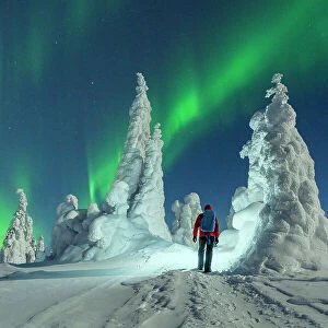 Hiker with backpack enjoying watching the Northern Lights over frozen trees, Riisitunturi National Park, Posio, Lapland, Finland