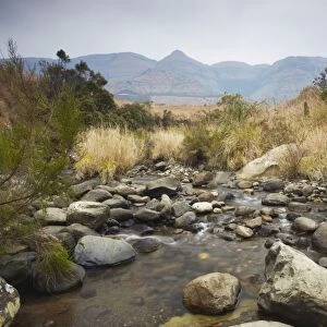Mpofane River, Monks Cowl Nature Reserve, Ukhahlamba-Drakensberg Park