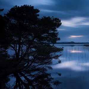 Muckross Lake at dawn, Lakes of Killarney, Killarney National Park, County Kerry