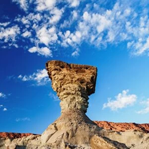The Mushroom Rock Formation, Ischigualasto Provincial Park, UNESCO World Heritage Site