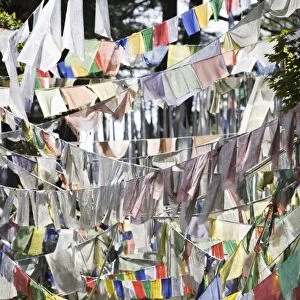 Prayer flags, Druk Wangyal Chorten, Bhutan, Asia