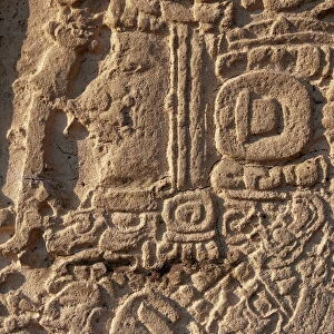 Detail of a Stela, Mayan archaeological site, Tikal, UNESCO World Heritage Site