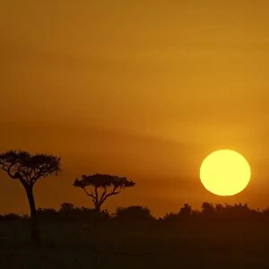 Sunrise, Masai Mara Game Reserve