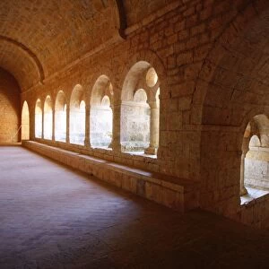 Thoronet Abbey cloister, Thoronet, Var, Provence, France, Europe