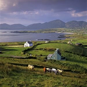 View over Allihies and Ballydonegan Bay, Beara Peninsula, County Cork, Munster, Republic of Ireland, Europe