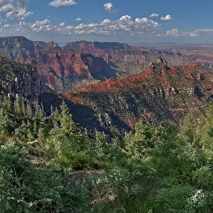 View of Brady Peak from the Vista Encantada Picnic area on Grand Canyon North Rim, Grand Canyon National Park, UNESCO World Heritage Site, Arizona, United States of America, North America