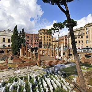 Area Sacra di Largo di Torre Argentina. Julius Caesar was killed in the Curia of the