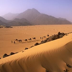 Camel Caravan in Niger, Tenere Desert
