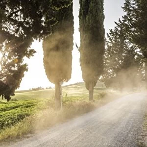 Cyclist on dirt road at sunset, Tuscany, Italy