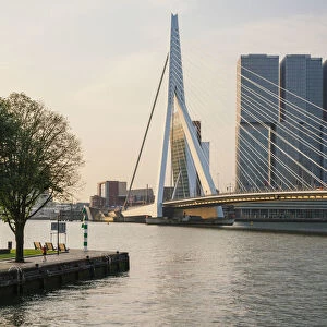 Erasmus Bridge and De Rotterdam, Wilhelminakade, Rotterdam, Netherlands