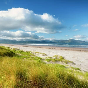 Inch Beach, Dingle, Dingle Peninsula, Wild Atlantic Way, County Kerry, Munster Province, west coast of Ireland, Ireland, Europe