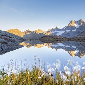 Landscape of an alpine lake during summer in italian Alps mountains