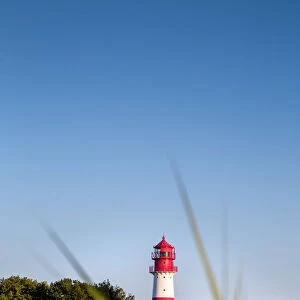 Lighthouse, Falshaoft, Baltic coast, Schleswig-Holstein, Germany