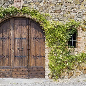 Old Wooden Door & Ivy, Tuscany, Italy