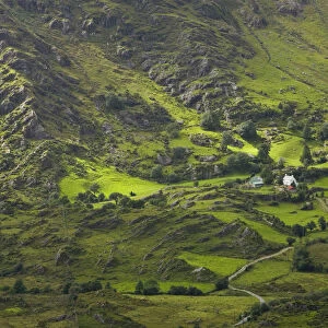 Rural Landscape near Healy Pass, Caha Mountains, Beara Peninsula, Co. Cork & Co. Kerry