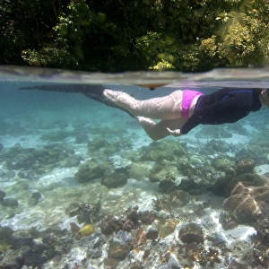 Snorkeller, Rock Islands, Palau, Micronesia