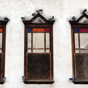 Pigeons are seen perched on windows in the old city of Damascus